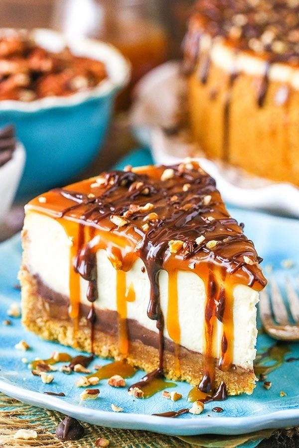 Large Turtle Cheesecake